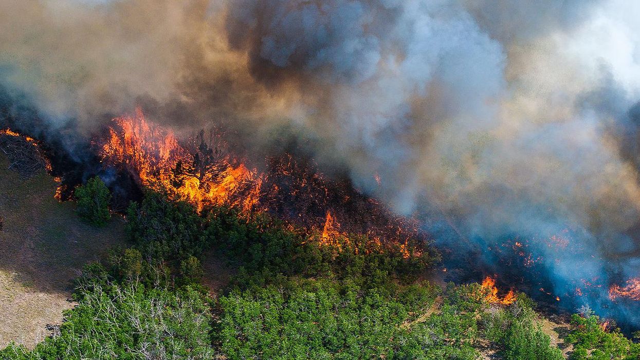 Colorado residents sue fossil fuel companies as climate change ravages their state: report