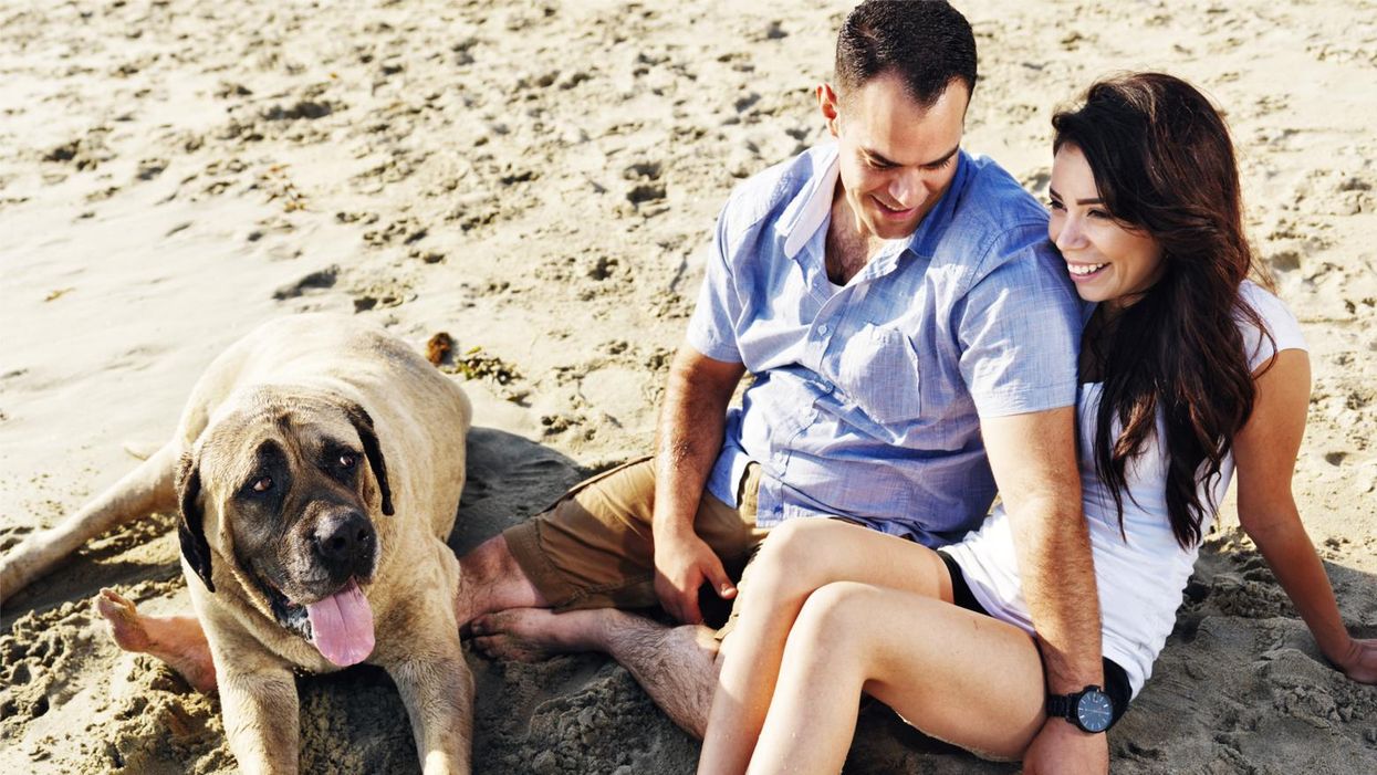 Far more US adults don't want children than previously thought