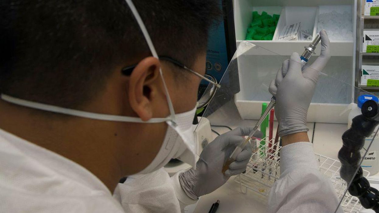 How a right-wing obsession with a veterinary drug emerged as a tactic to undermine COVID-19 vaccines