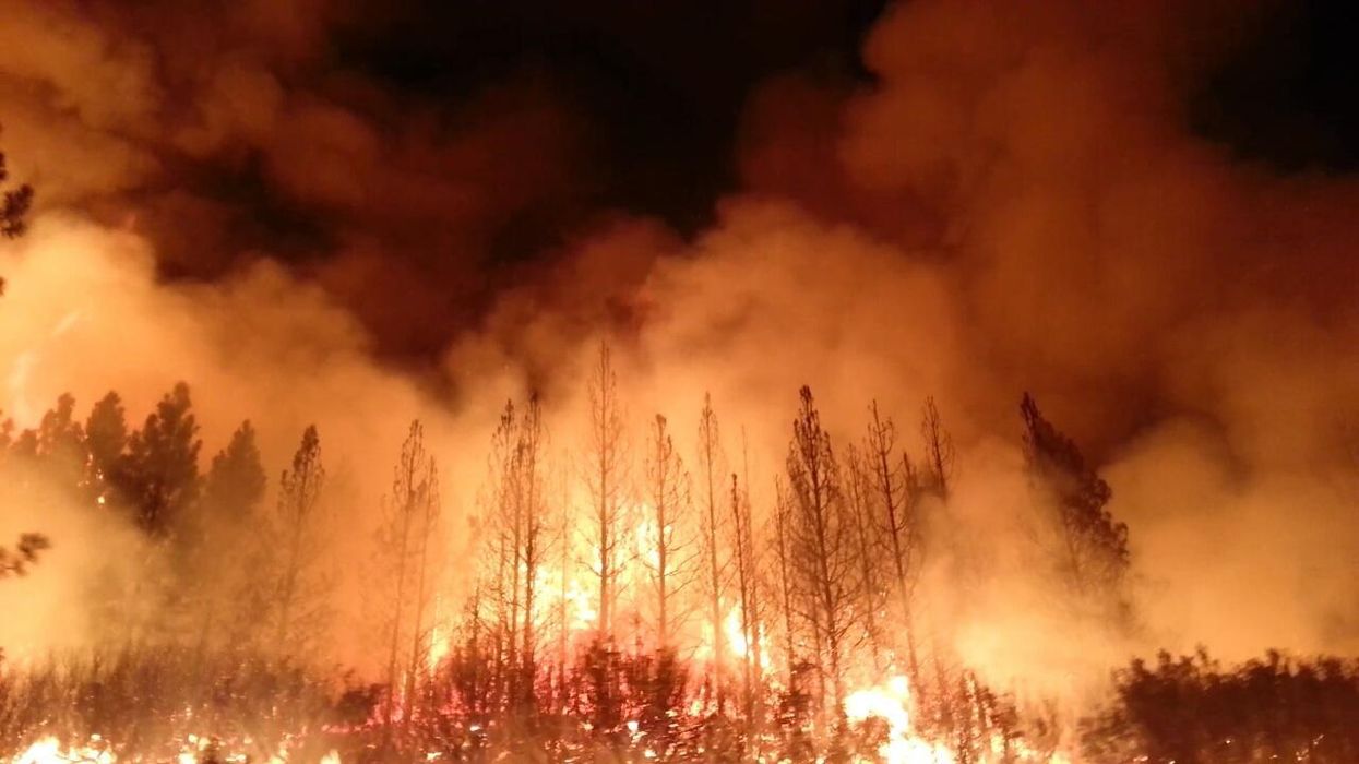 The IPCC report shows there will be no 'getting back to normal' with climate change: economist