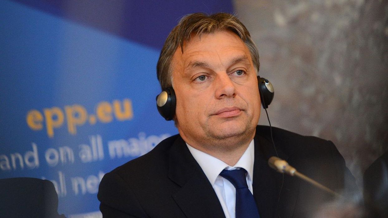 Hungarian conservative blasts Tucker Carlson for praising strongman Viktor Orbán: 'You’ve been had'