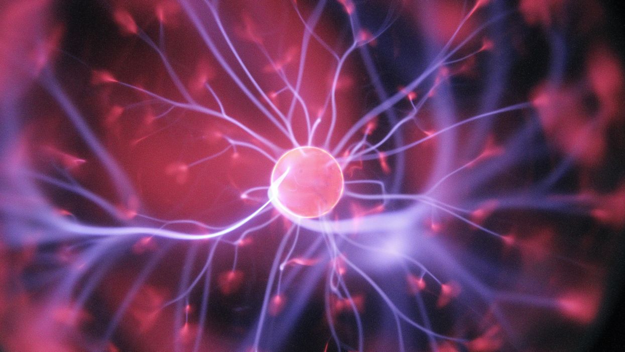 New research challenges our basic theories about how the brain works