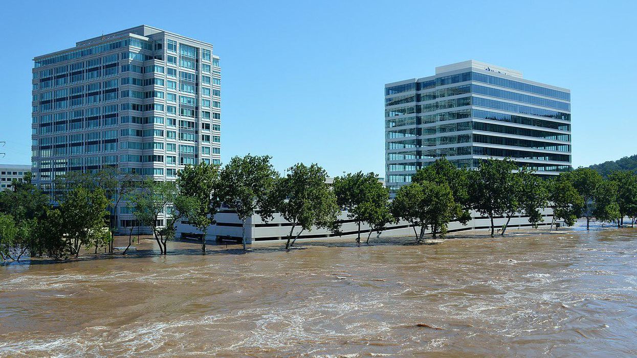 Economist Paul Krugman: Corporations refusing to pay taxes for climate change programs is 'unforgivable'