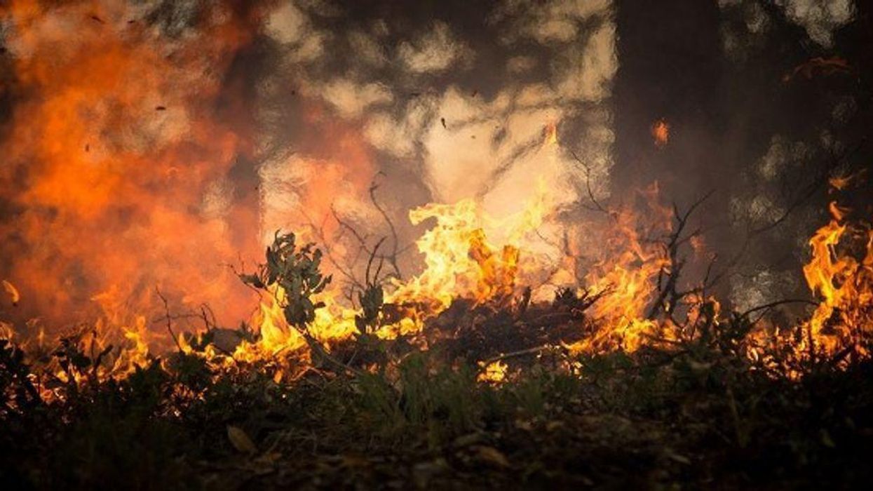 Moving beyond America’s war on wildfire: 4 ways to avoid future megafires