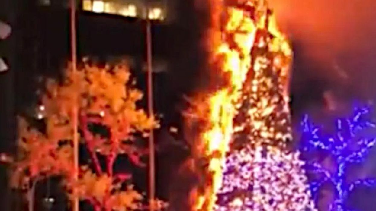 'Fox News Christmas tree' goes up in flames as man is arrested for torching it
