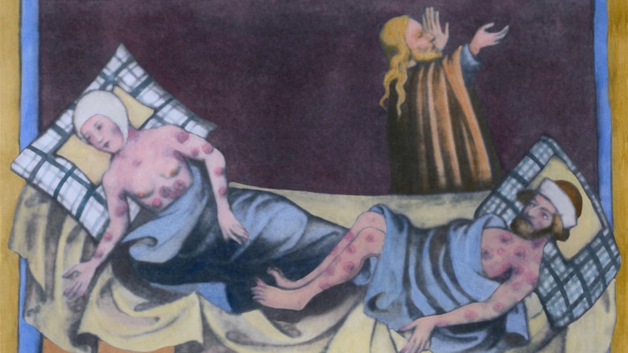 The Black Death had its own 'truther' movement