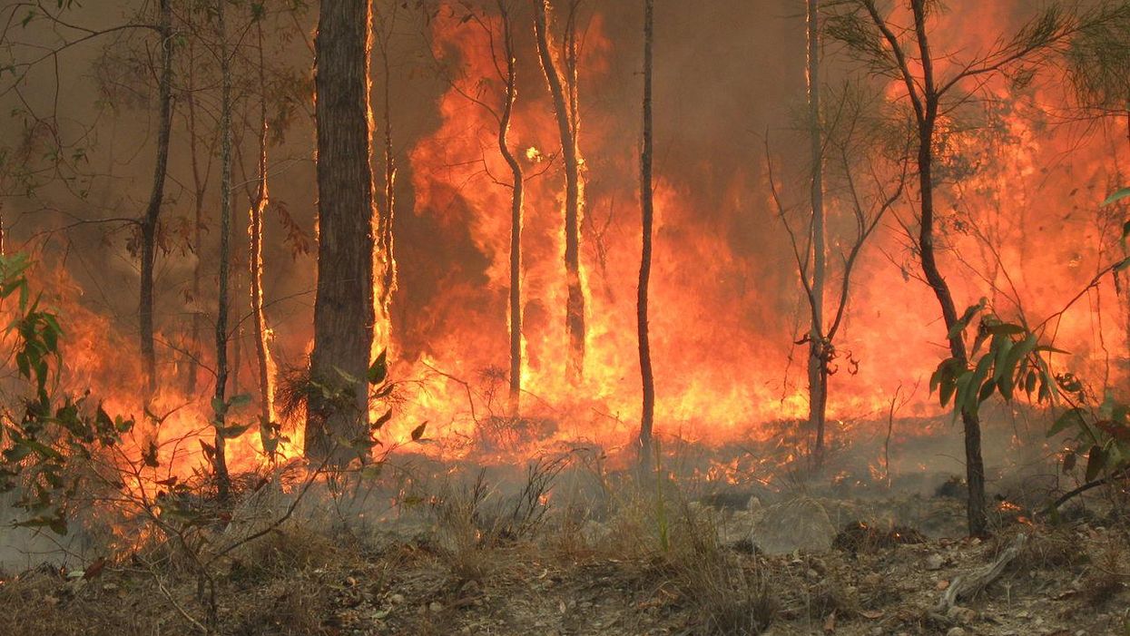 Wall Street firms are investing more in ‘climate intelligence’ — and keeping valuable info to themselves: report