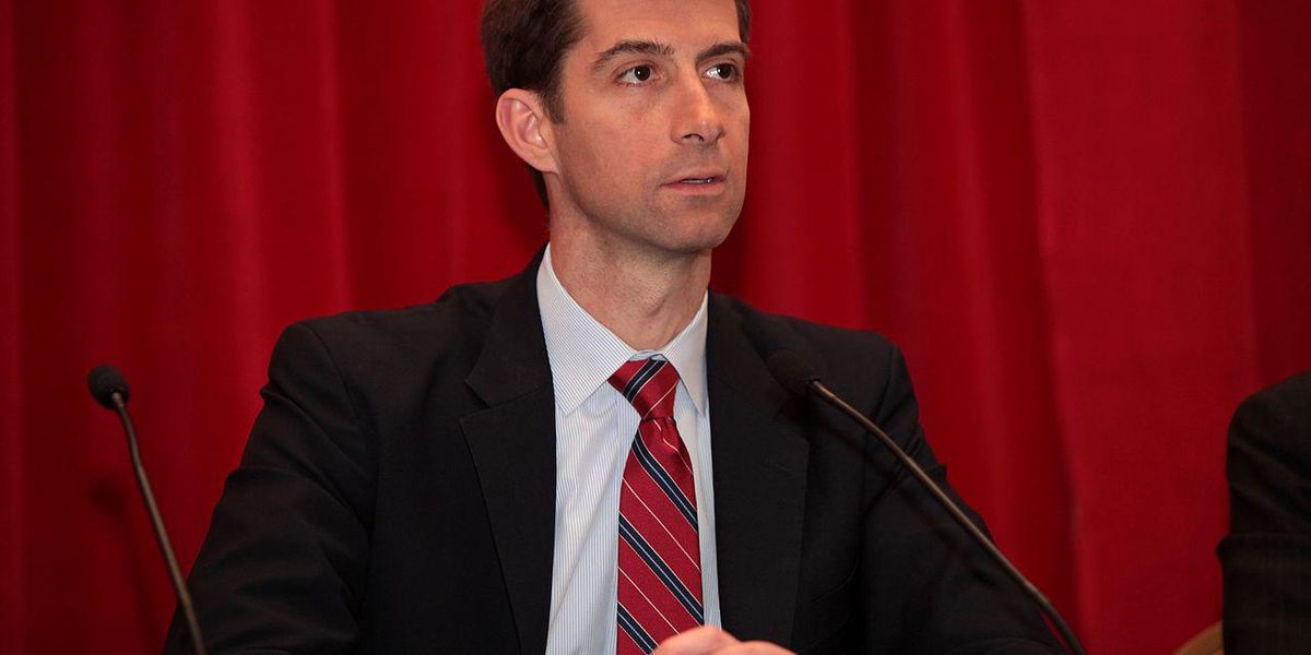 Tom Cotton slammed for boosting conspiracy theories about journalists