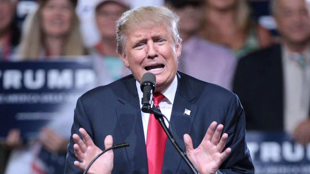 How the ‘MAGA Set’ is ‘weaponizing’ the RINO insult to enforce ‘fealty to Trump’: report