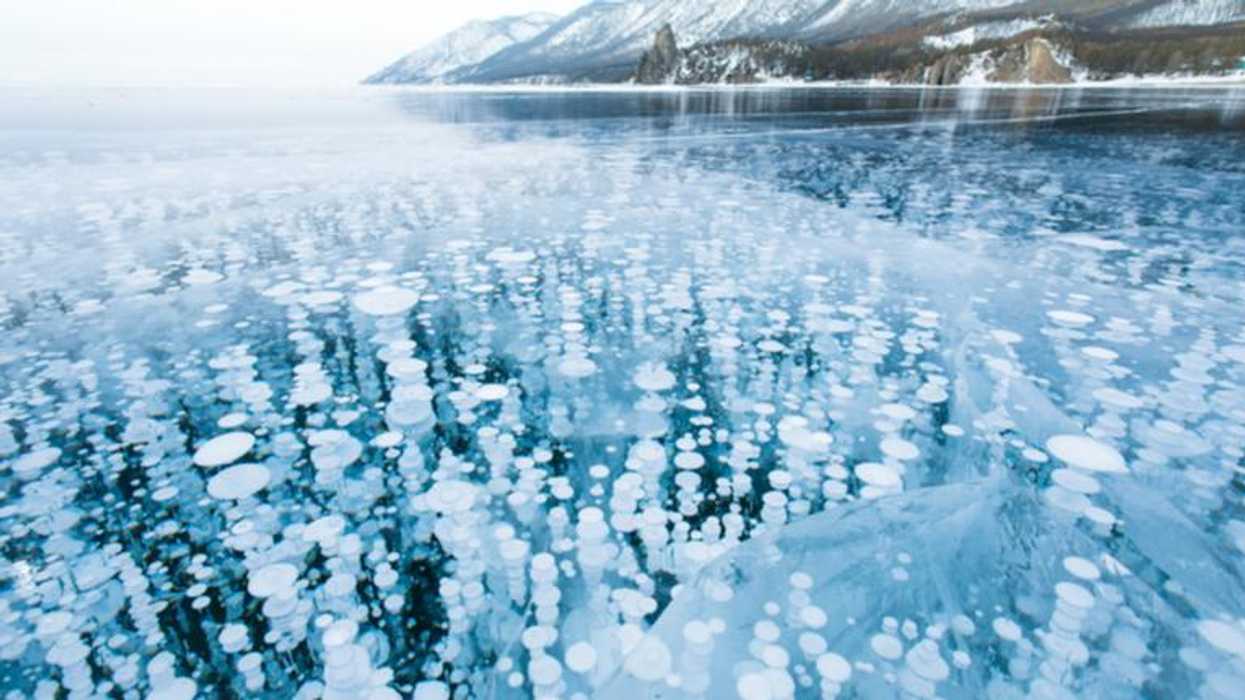 Atmospheric methane '162% greater than pre-industrial levels': greenhouse gas traps '87 times' more heat than CO2