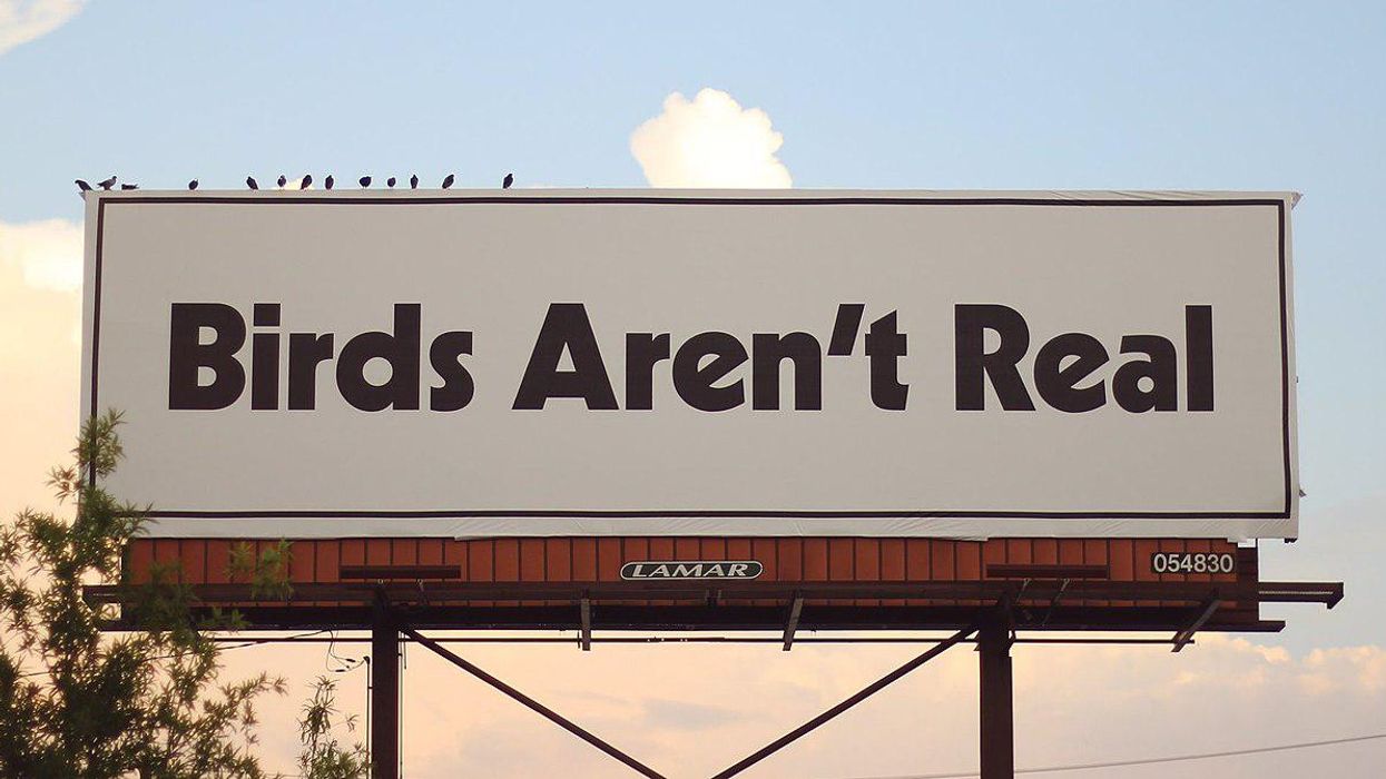 'Birds Aren’t Real': How a mock conspiracy theory caught on with the far right