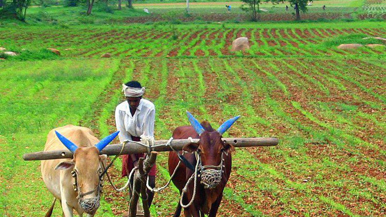 Why skyrocketing food prices will go from bad to worse: journalist