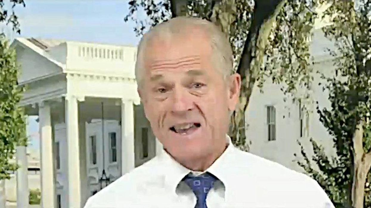 Navarro faces federal grand jury indictment for contempt of Congress