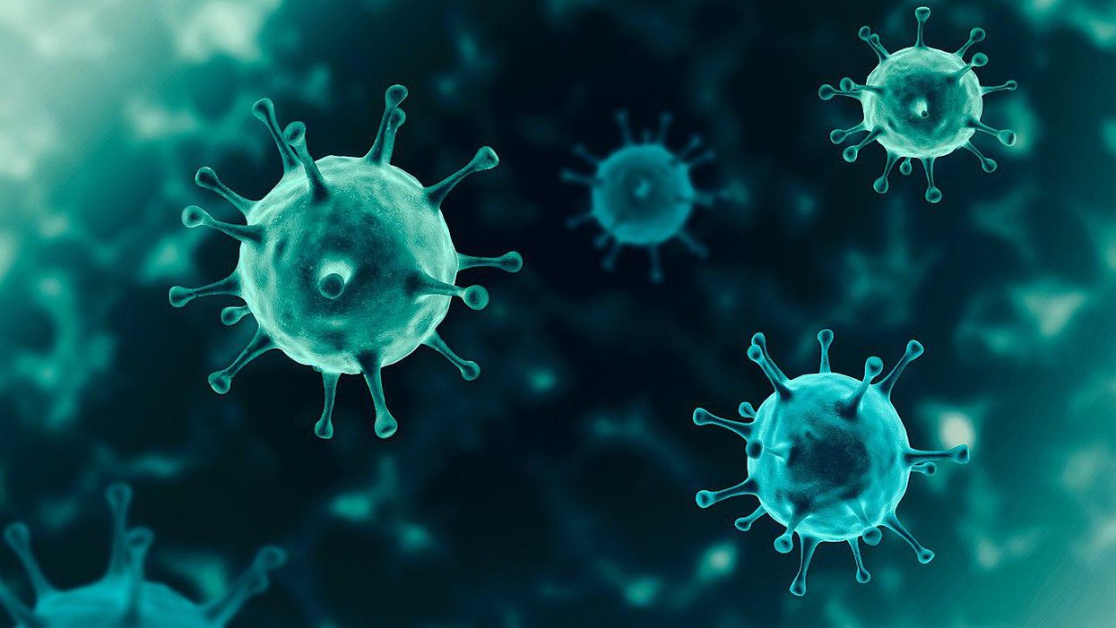 Fake 'wellness influencers' have found a new inspiration for conspiracy theories — monkeypox: report