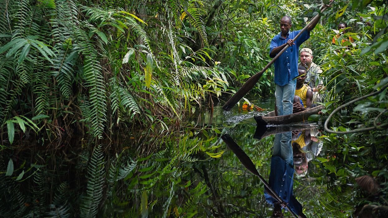 Green groups fear 'climate catastrophe' as Congo weighs selling rainforest for oil drilling