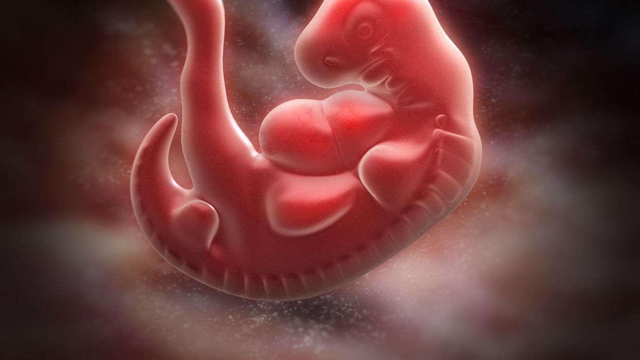Most human embryos naturally die after conception. Abortion bans conveniently ignore it