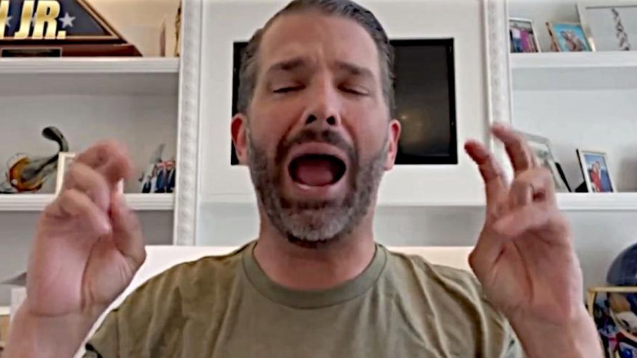 Donald Trump Jr. says Nancy Pelosi was 'preaching violence' because she wanted to 'punch out' his dad