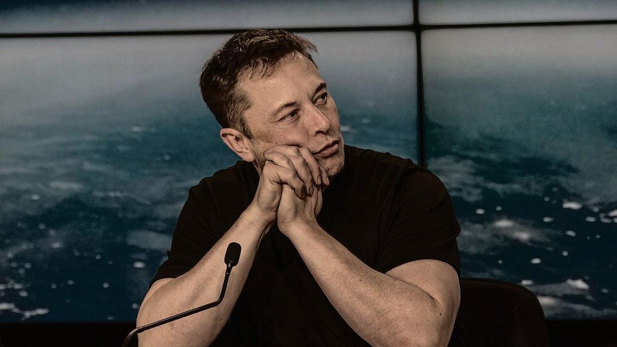How to stop Elon Musk