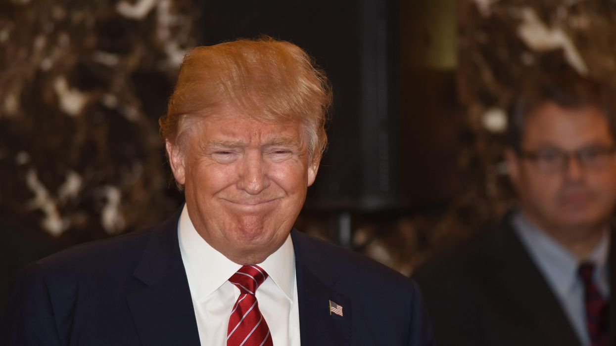 Taxpayer rights expert 'absolutely flabbergasted' that Donald Trump escaped IRS presidential audit: report