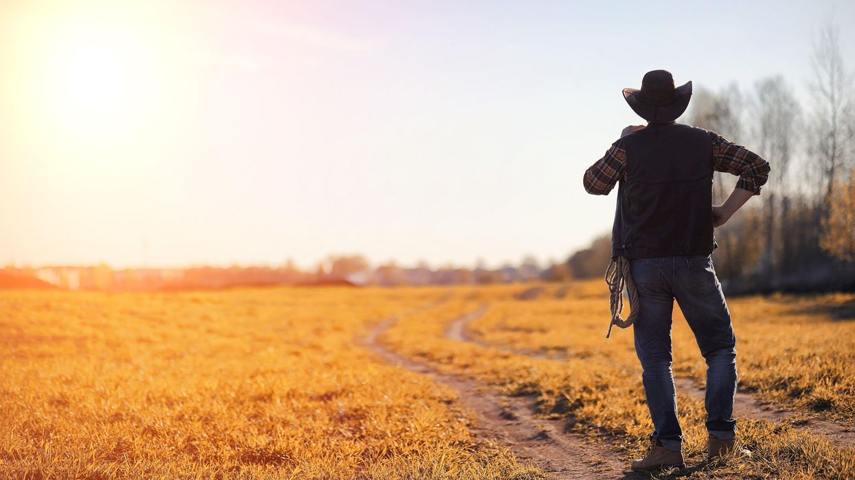 Texas Agricultural Department seeking annual $500,000 for mental health line as farmer suicide rates rise