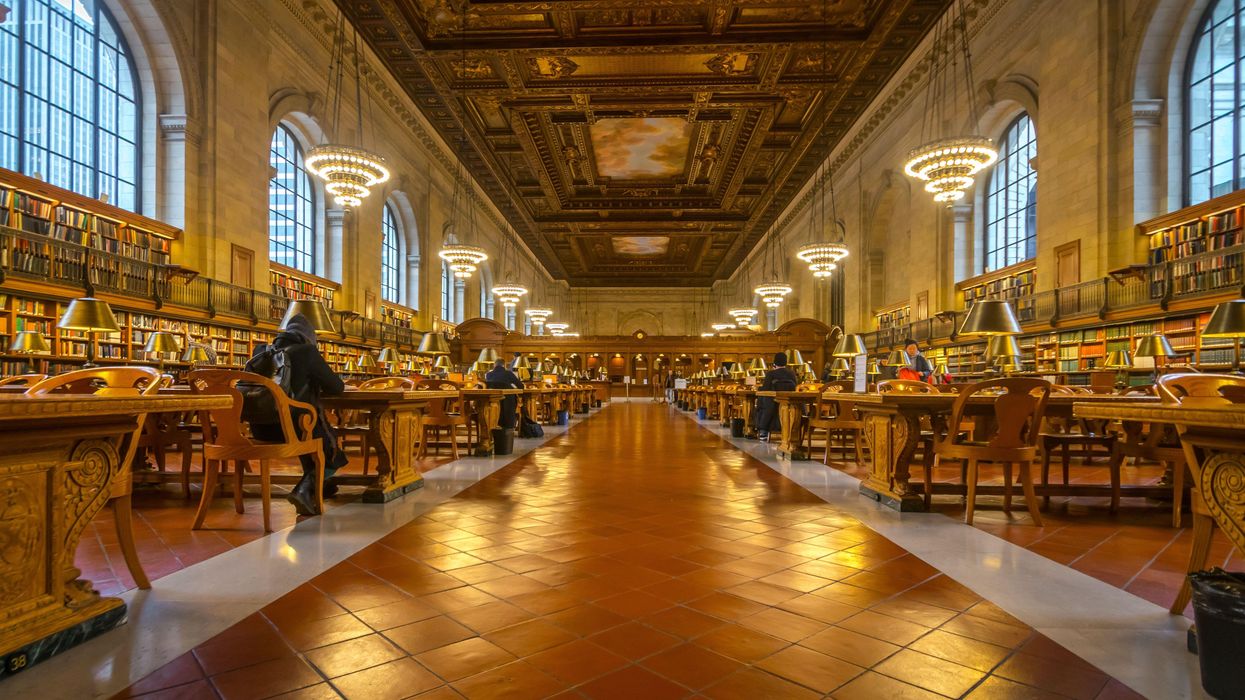 Public libraries continue to thrive despite defunding and privatization attacks