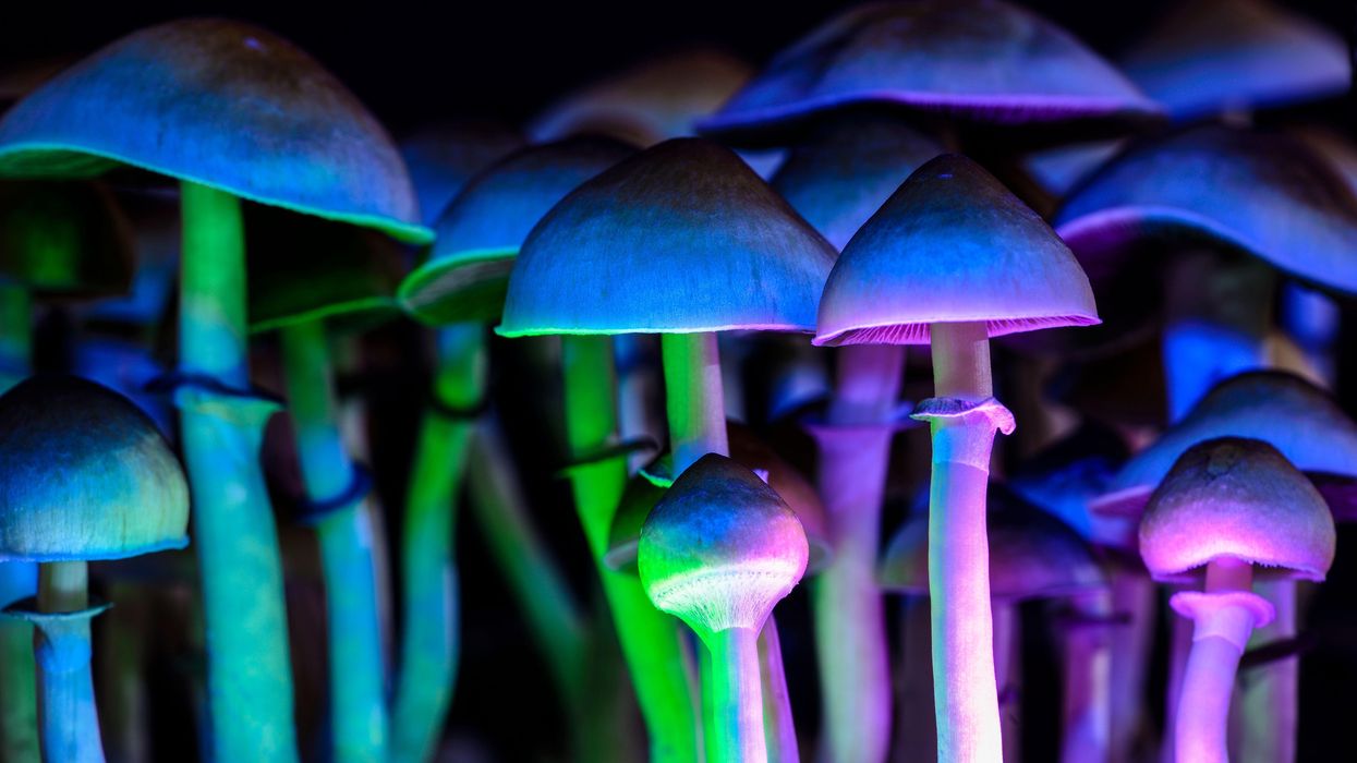 Australia becomes first country to legalize MDMA and psilocybin for therapeutic usage