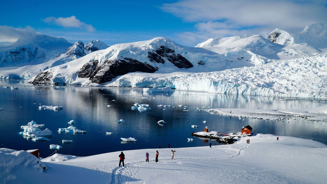 'No time to waste': Antarctic ice hits lowest January level ever recorded
