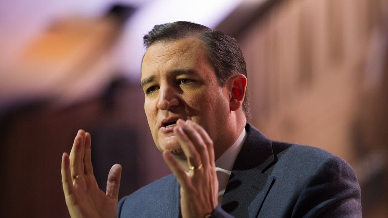 Ted Cruz: Conversation with Elon Musk lays out 'road map' to 'go after' Big Tech