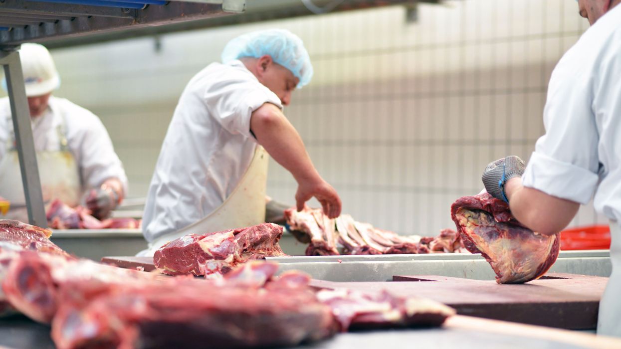 'Humane slaughter' of livestock does not exist