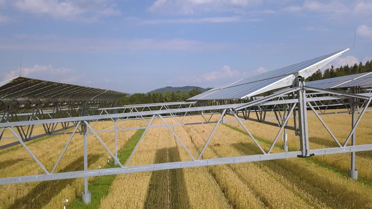 Agrivoltaics: The promising farm-to-solar trend