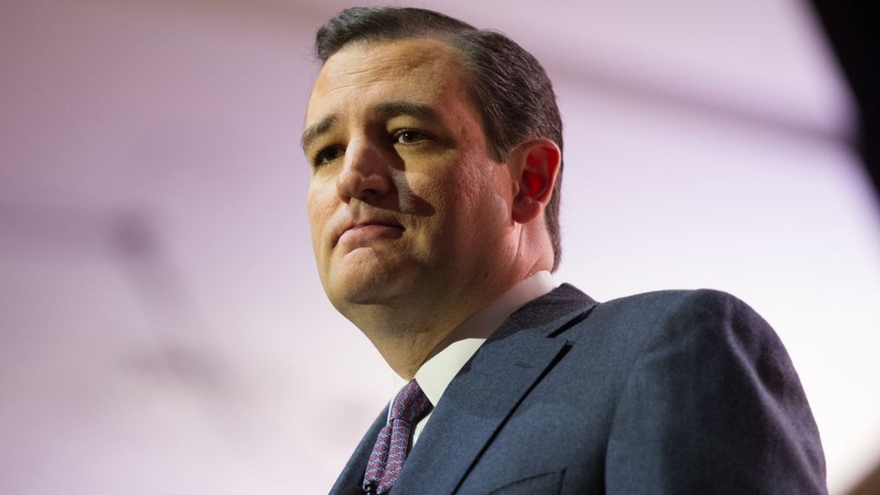 'Mr. Nothing Burger has condiments': Ted Cruz fried for spreading debunked '87,000 IRS agents' claim