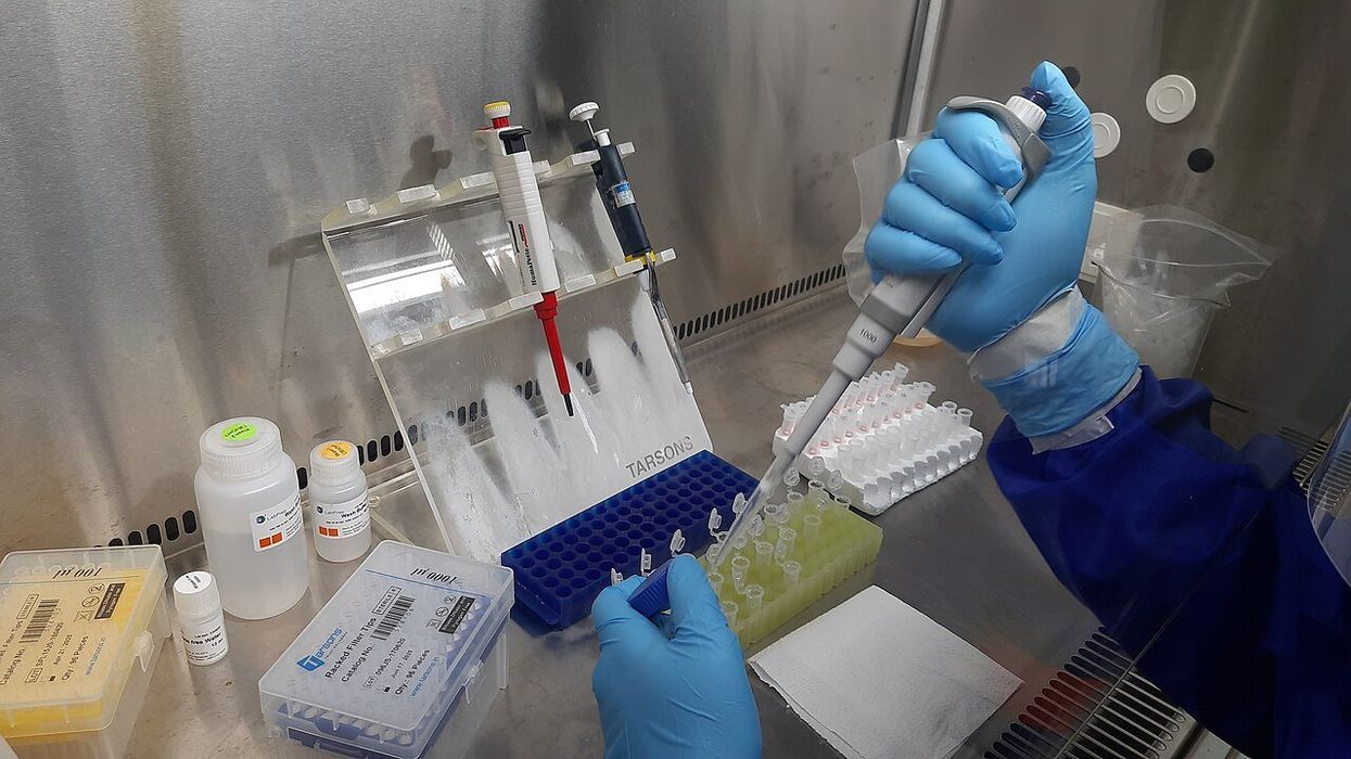 Fraudsters stole over $280 billion in pandemic relief funds: report