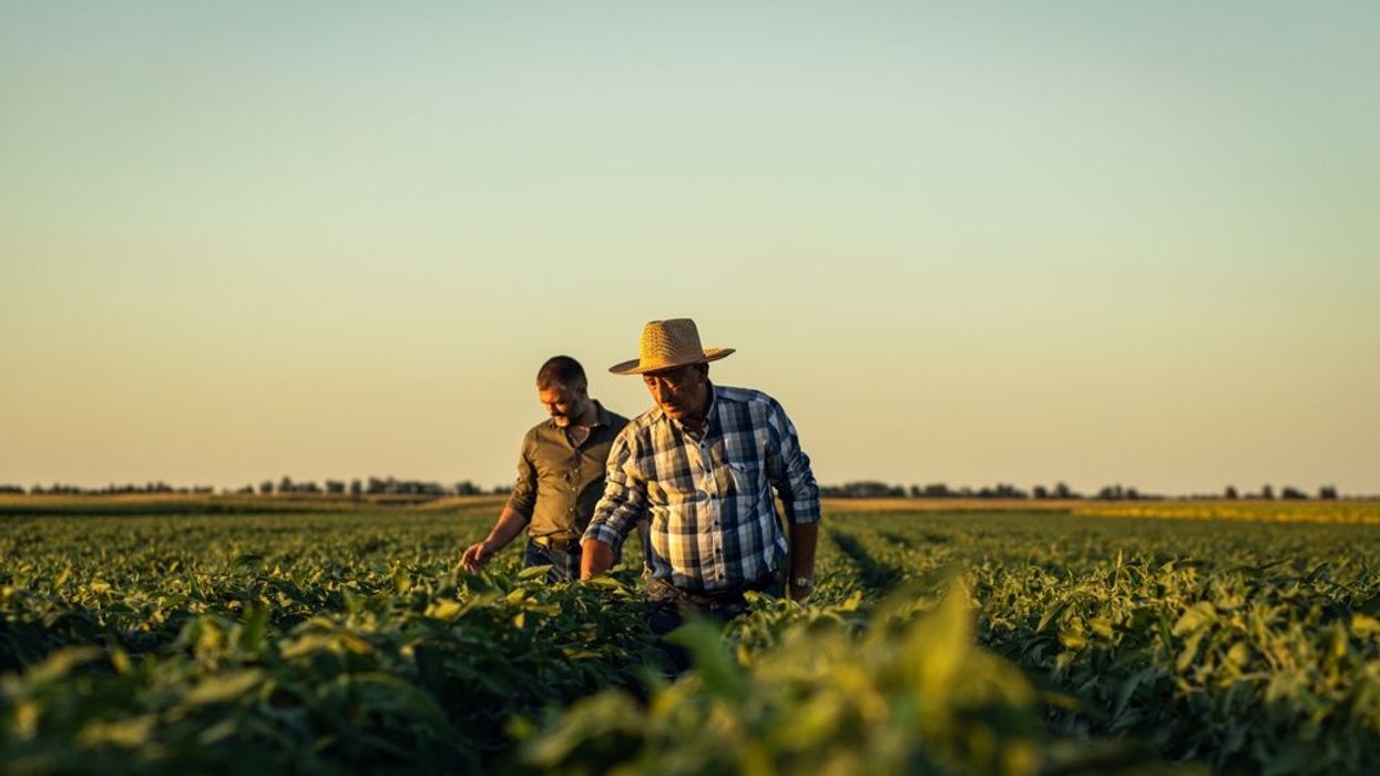 Saudi farming company can’t use their country’s water for crops — so they’re taking it from Arizona