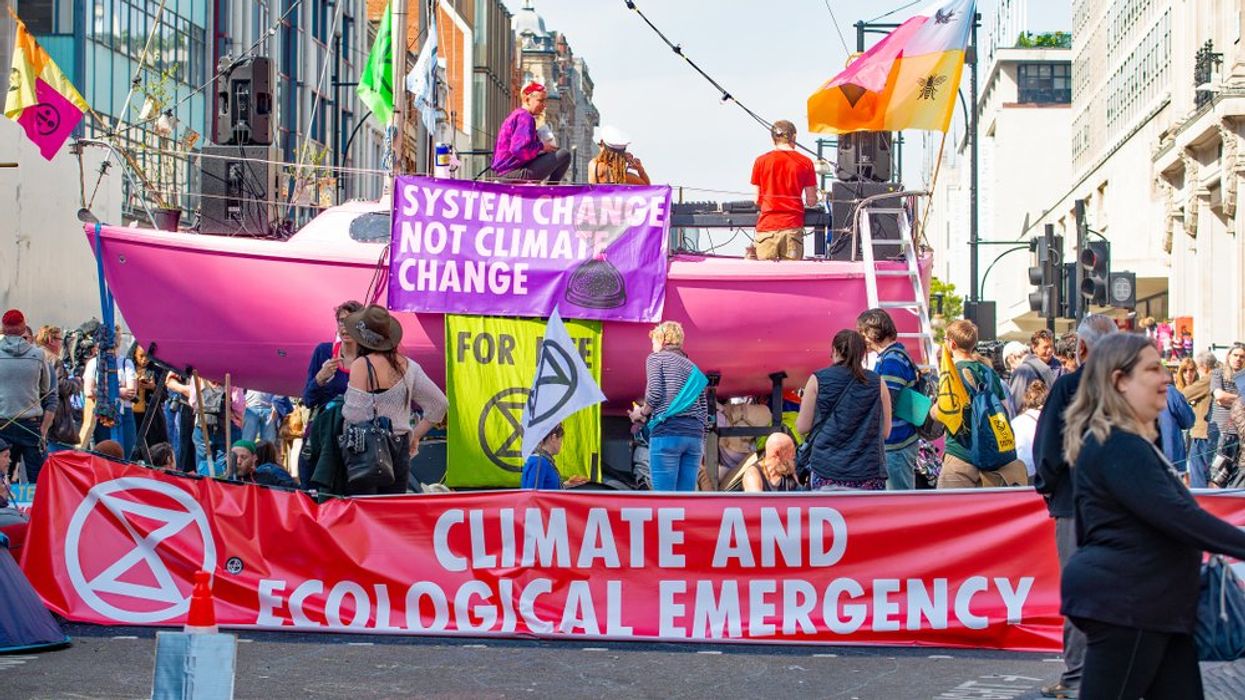 The eco collapse we were warned about has begun