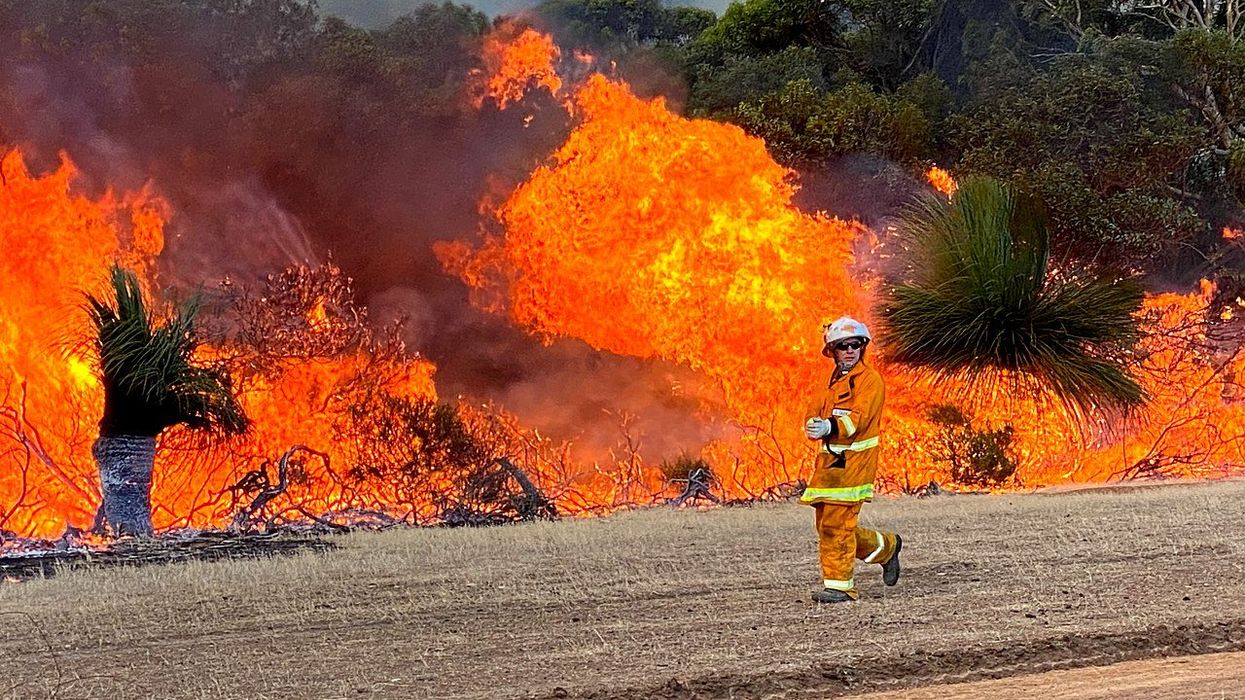 'Dreading the devastation': Australian scientists fear climate change will bring a brutal summer