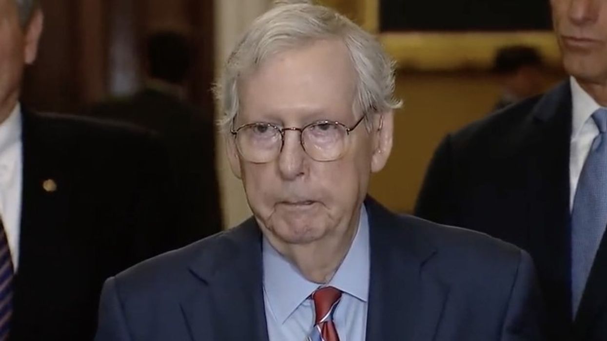'Odd moment': McConnell returns to presser after 'abruptly' freezing