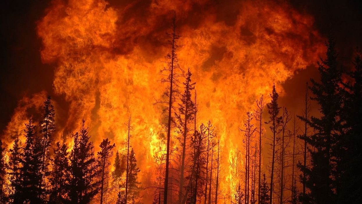 'Existential dread': Climate change is hurting people’s sex lives
