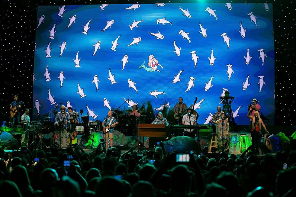 Why was a Florida sea creature named for singer Jimmy Buffett? Researchers have a reason