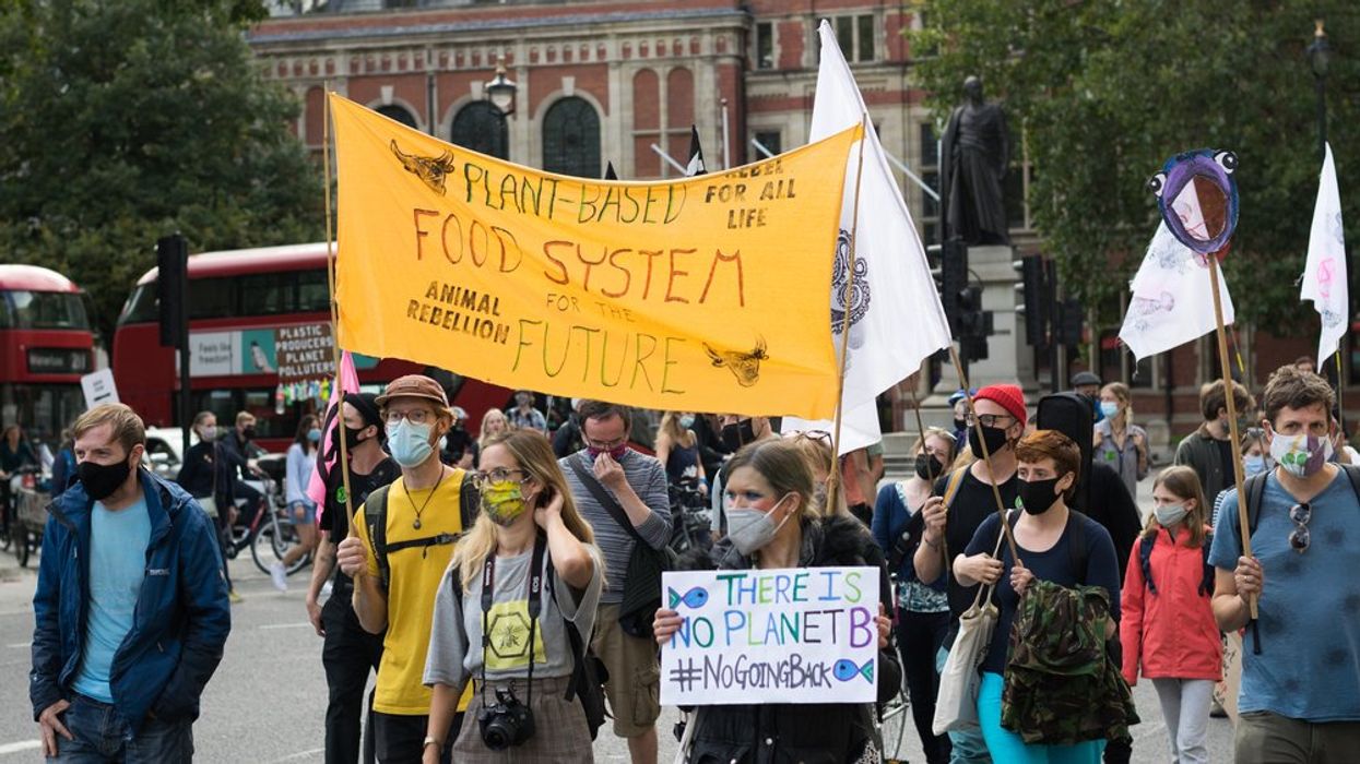How to fix our food system
