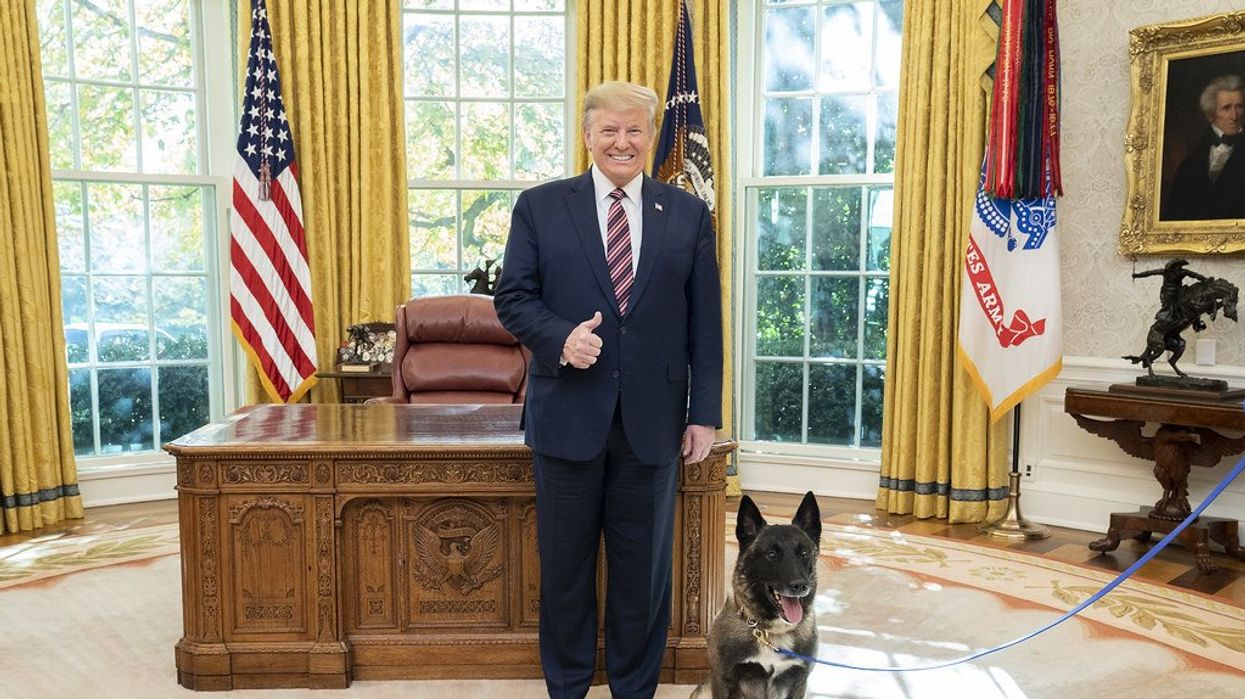 'Terrific': Trump defends Kristi Noem after shooting her dog to death