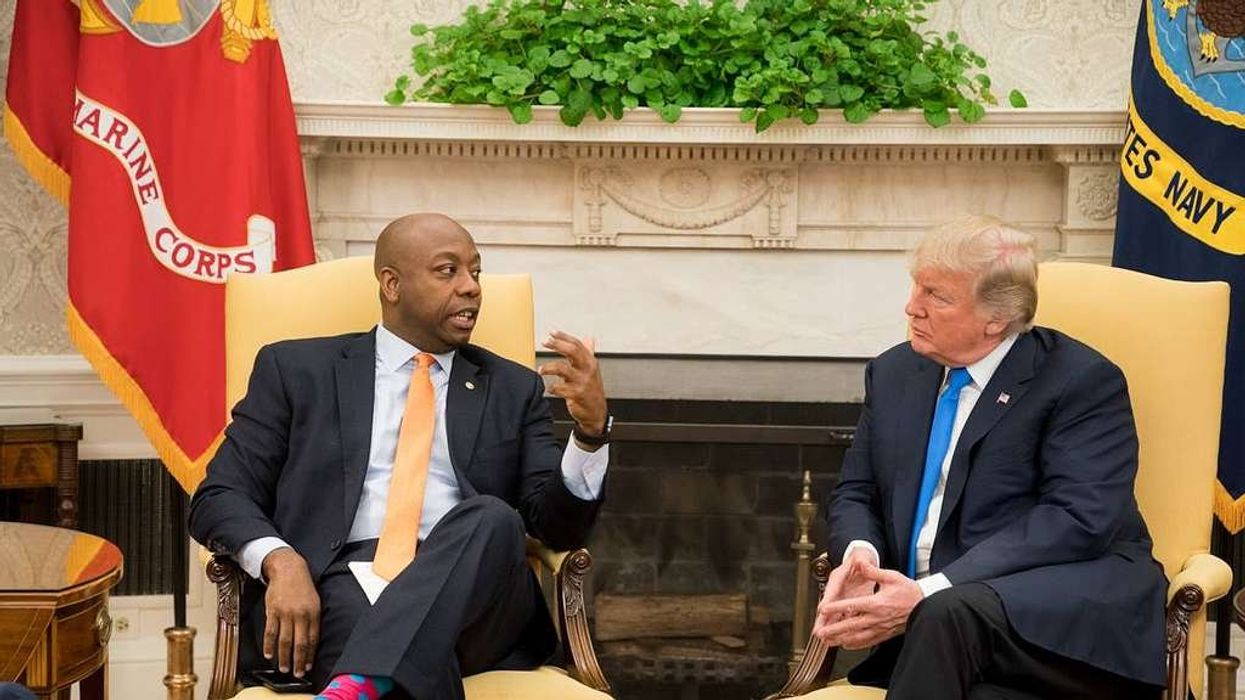 Trump: Tim Scott 'wasn’t a good presidential candidate' but is 'a great surrogate'