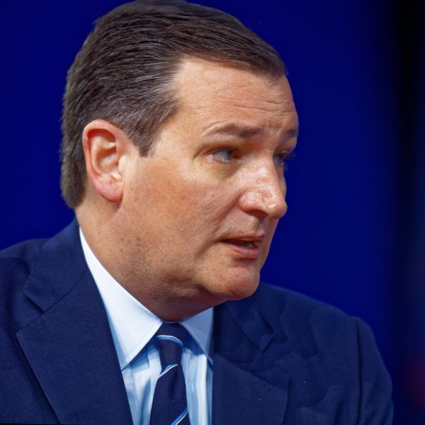 Ted Cruzs secret playbook found in Senate refectory and posted online