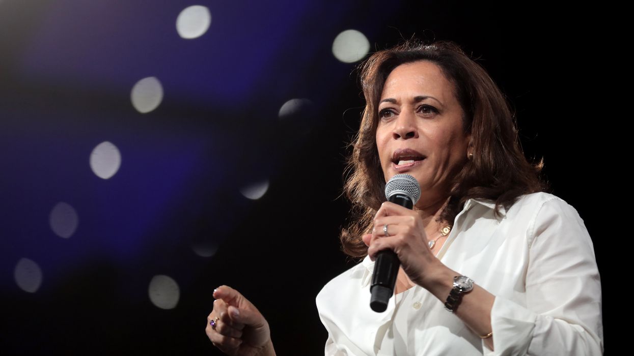 Pollster reveals 'one of the deepest fissures in the body politic' that’s holding Harris back
