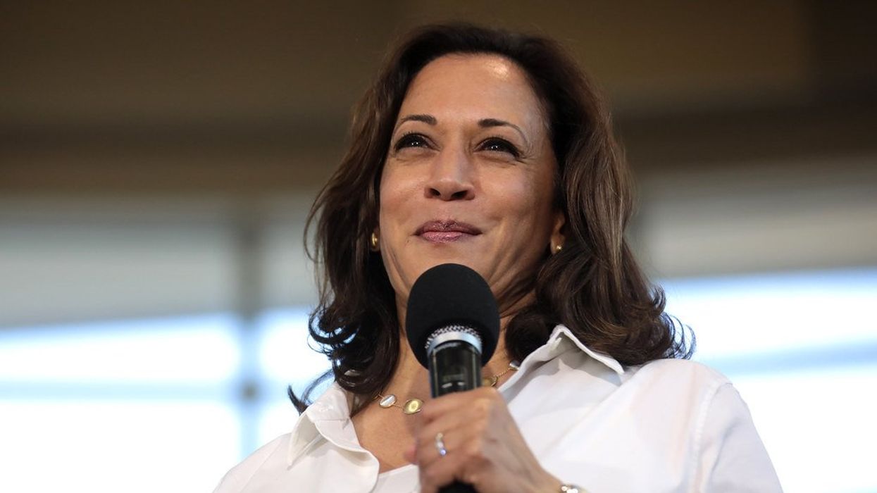Ex-Bush strategist warns polls are 'underestimating Harris' as enthusiasm 'skyrockets'
