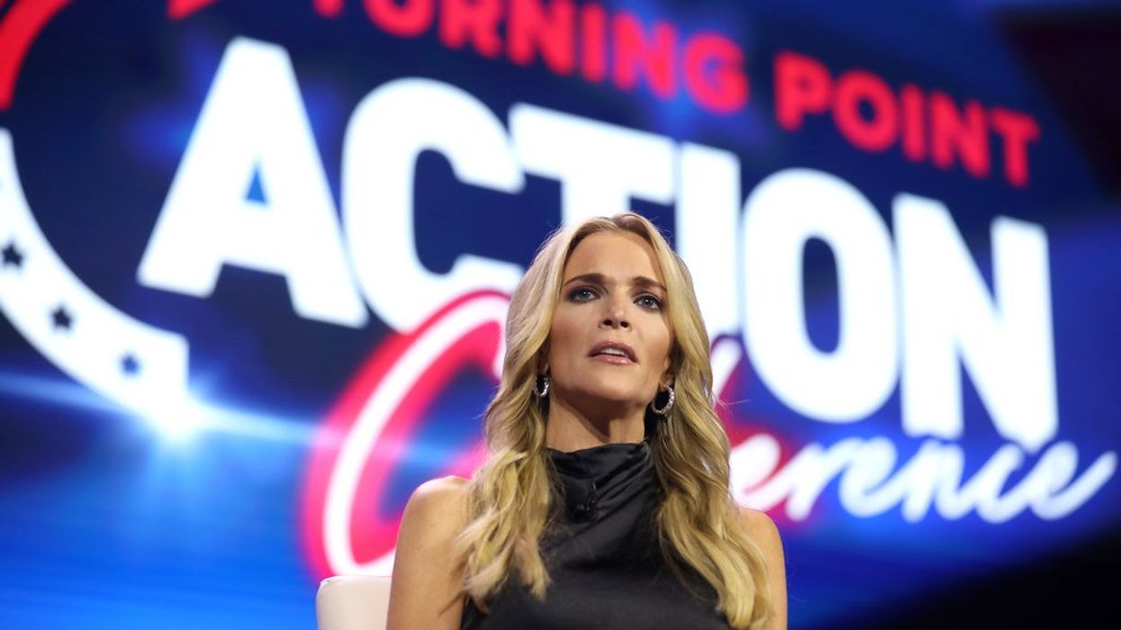 'Did you fall on your head?' Megyn Kelly blasted for racist response to senator’s DNC speech
