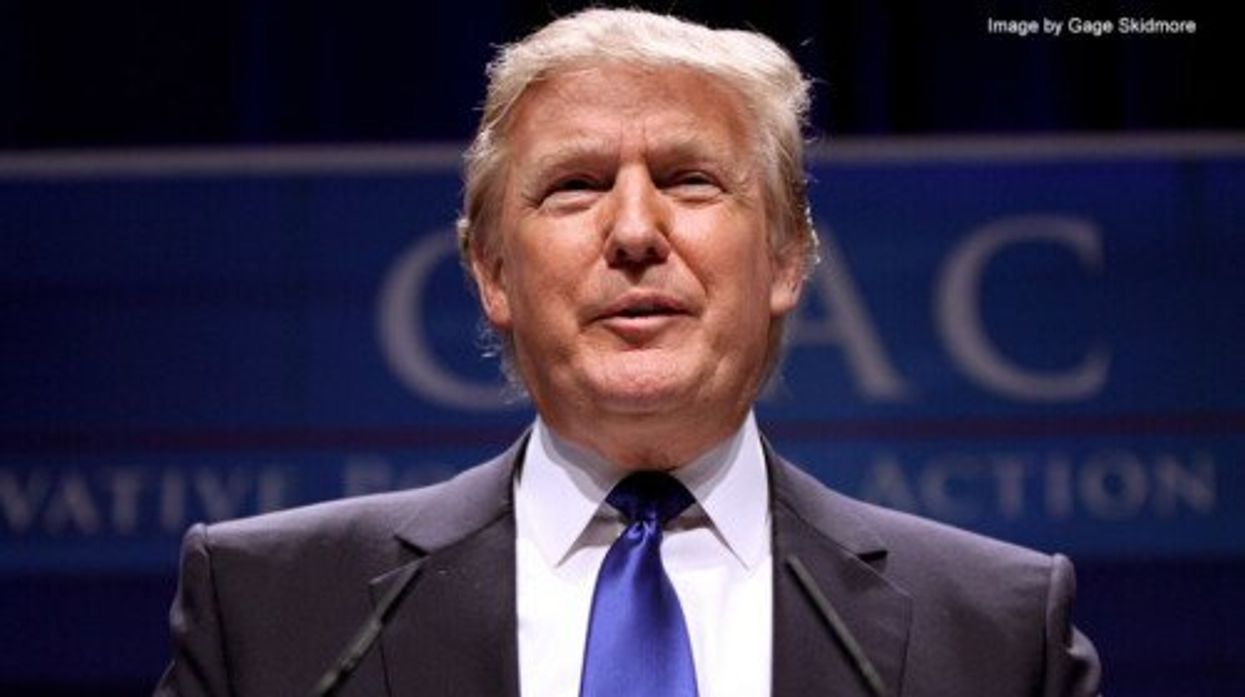 Conservative reveals one thing he thinks Trump 'intends to actually do' as president