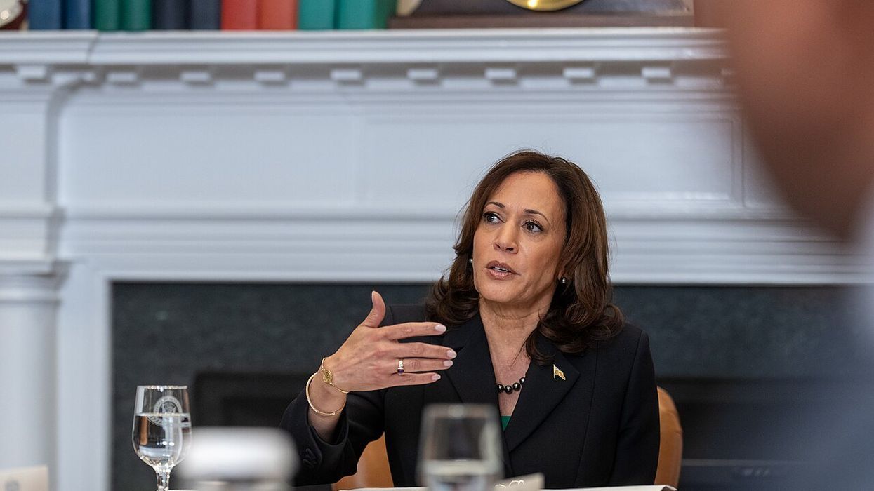 Harris 'narrows the gap' with Trump on economy in key battleground states: poll