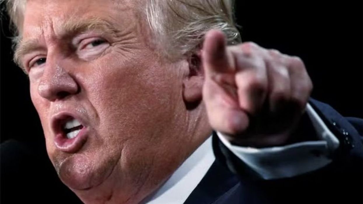 'Blindsided' and 'furious' Trump turned Elon Musk loose on House leadership: insider