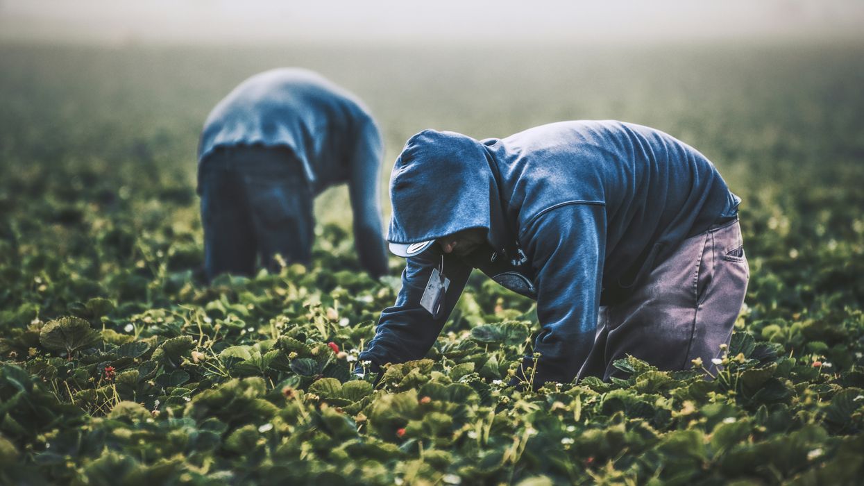 Surprising immigration raid in CA foreshadows what awaits farmworkers — and businesses