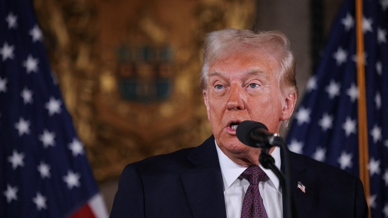 'Wake him up early and keep him up late': How Dems can 'nail Trump to the wall' in 2nd term